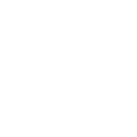 White icon of the globe